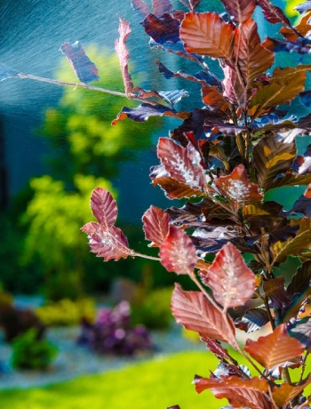 ابادة الحشرات